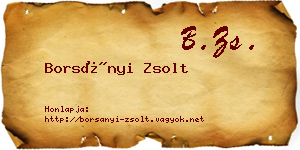 Borsányi Zsolt névjegykártya
