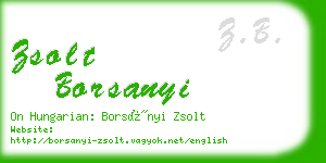 zsolt borsanyi business card